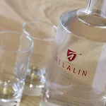 Swiss Alpine Allalin