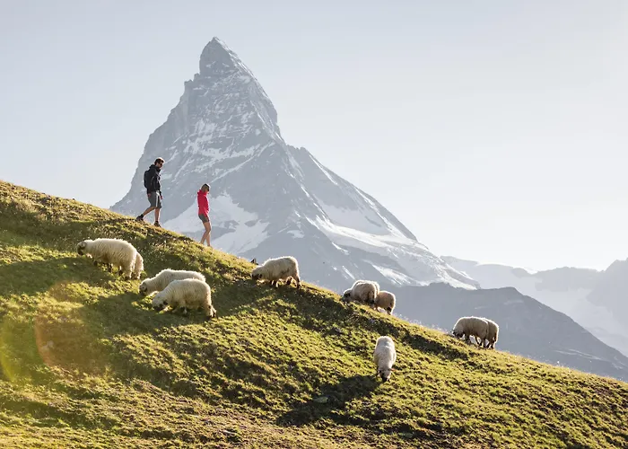 Swiss Alpine Allalin