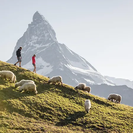 Swiss Alpine Allalin